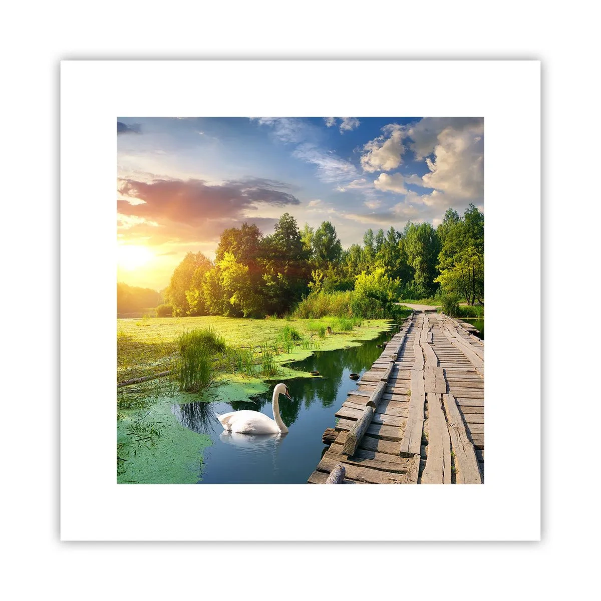 Poster - Sommer, Sommer überall - 30x30 cm