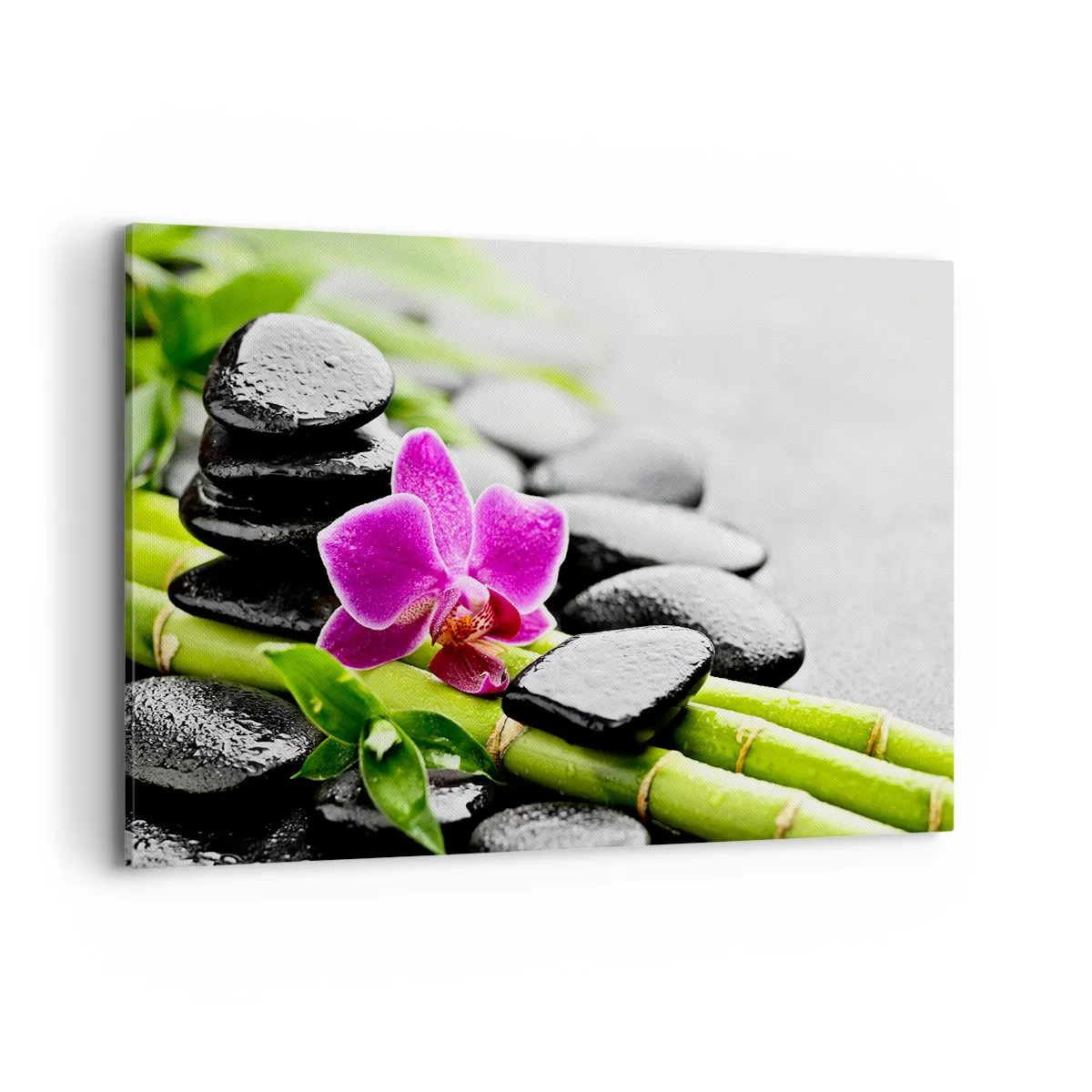 Bild auf Leinwand - Leinwandbild - Lila Orchidee, schwarze Steine und Bambus in einer ruhigen Komposition - 120x80cm - In ruhiger Balance - Moderne Wanddekoration für Wohnzimmer und Schlafzimmer ARTTOR