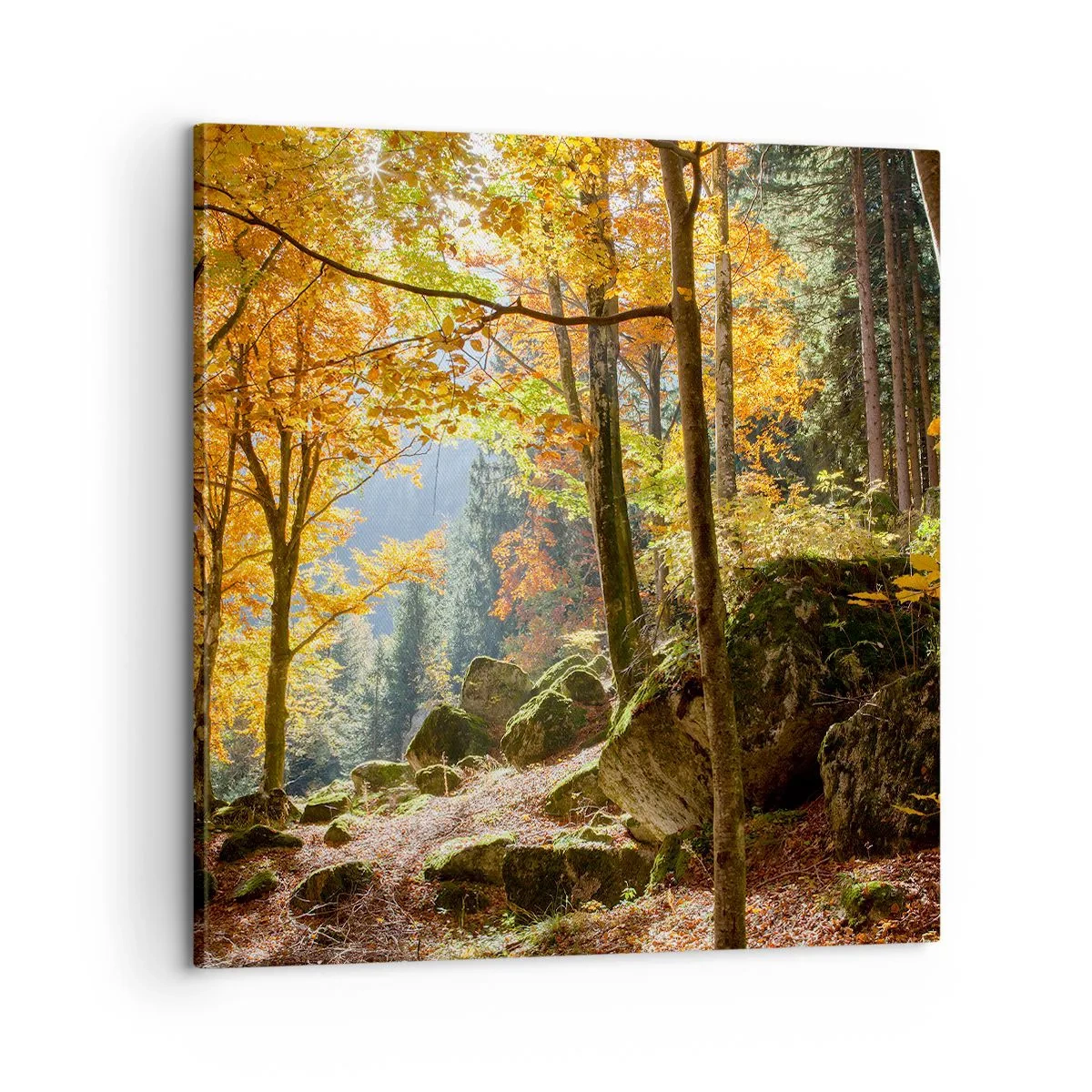 Bild auf Leinwand - Leinwandbild - Zeit zum Entspannen - 60x60 cm