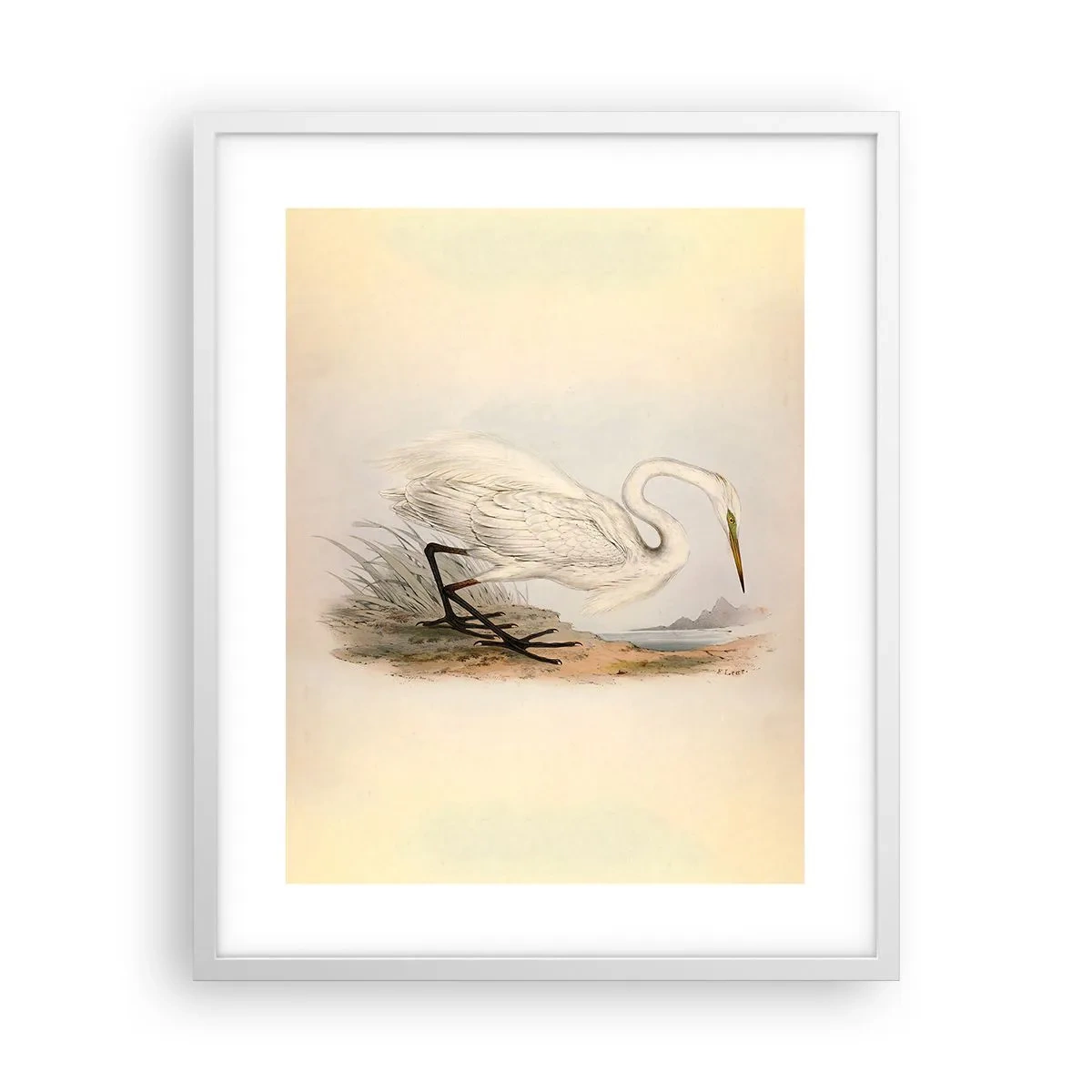 Poster in einem weißen Rahmen - Dame auf den Binsen - 40x50 cm
