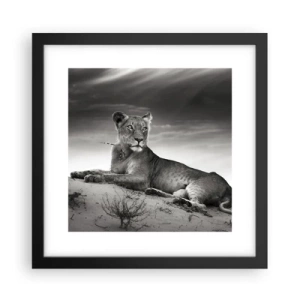 Poster in einem schwarzem Rahmen - Die Königin der Wüstenruhe - 30x30 cm