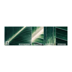 Fototapetenmuster Standard Eco - Rhythmus der Natur - Abstraktion, Grünes Blatt, Grafik - 100x30 cm