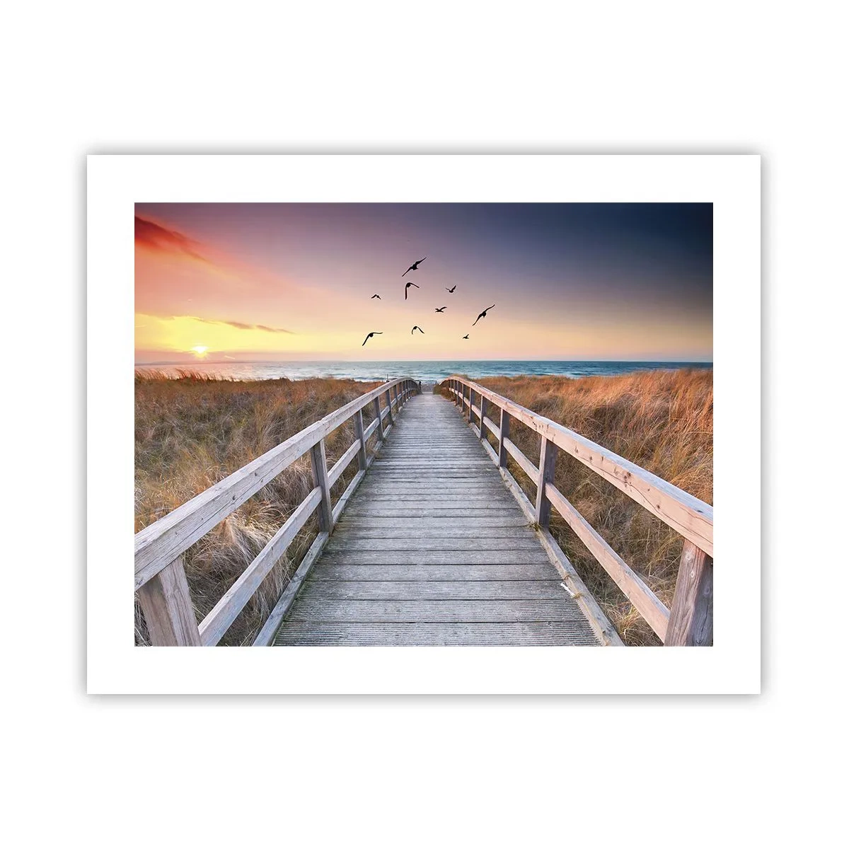 Poster - Der Raum für Auffliegen - 50x40 cm