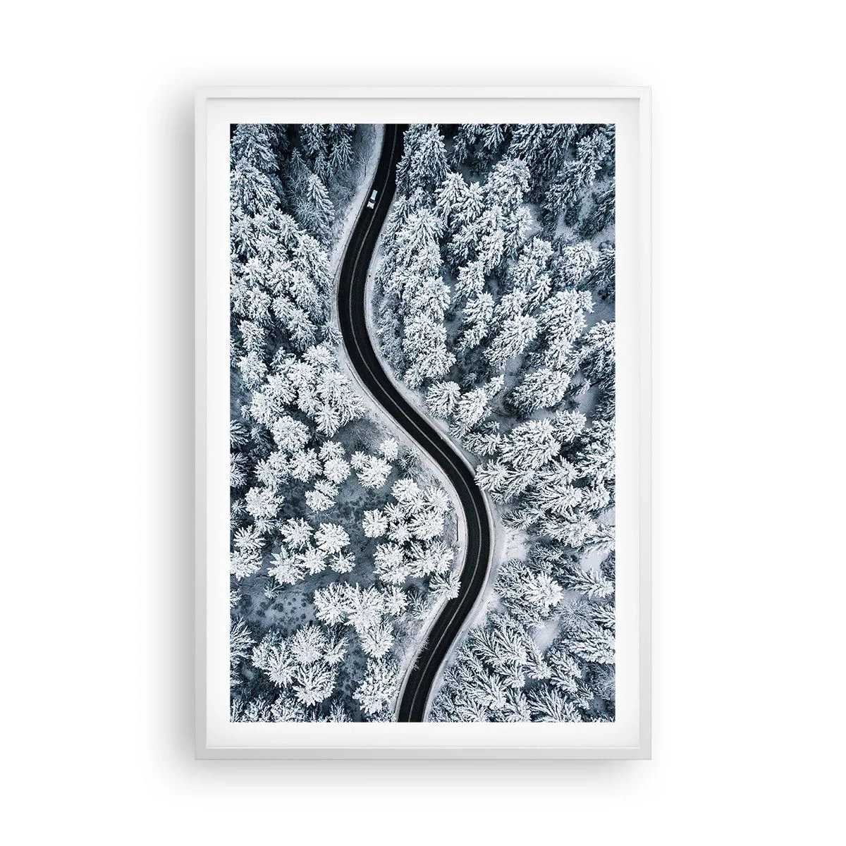 Poster in einem weißen Rahmen - Durch den Winterwald - 61x91 cm