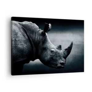 Bild auf Leinwand - Leinwandbild - Schwarz-Weiß-Porträt eines Nashorns vor dunklem Hintergrund - 70x50cm - Richtiges Profil - Moderne Wanddekoration für Wohnzimmer und Schlafzimmer ARTTOR