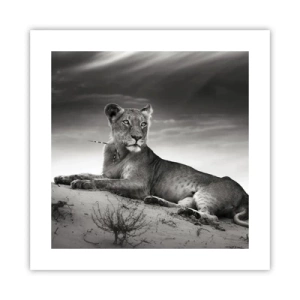 Poster - Die Königin der Wüstenruhe - 40x40 cm