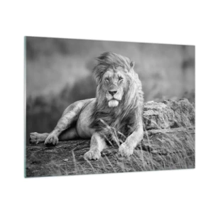 Glasbild - Bild auf glas - Ein Löwe ruht auf einem Felsen in einer monochromen Landschaft. - 100x70cm - Königliche Siesta - Moderne Wanddekoration für Wohnzimmer und Schlafzimmer ARTTOR