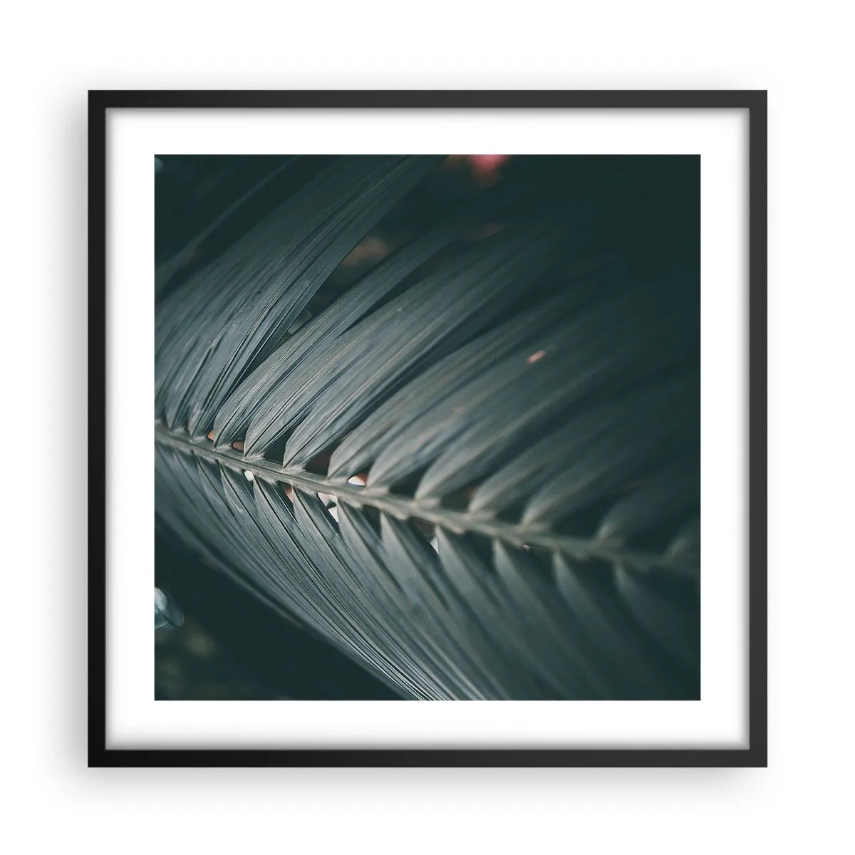 Poster in einem schwarzem Rahmen - Die Präzision der Natur - 50x50 cm