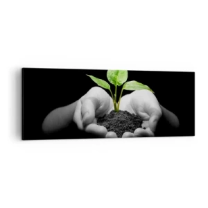 Bild auf Leinwand - Leinwandbild - Hände halten eine grüne Pflanze auf schwarzem Hintergrund - 140x50cm - Ich liebe die Natur, ich beschütze sie - Moderne Wanddekoration für Wohnzimmer und Schlafzimmer ARTTOR