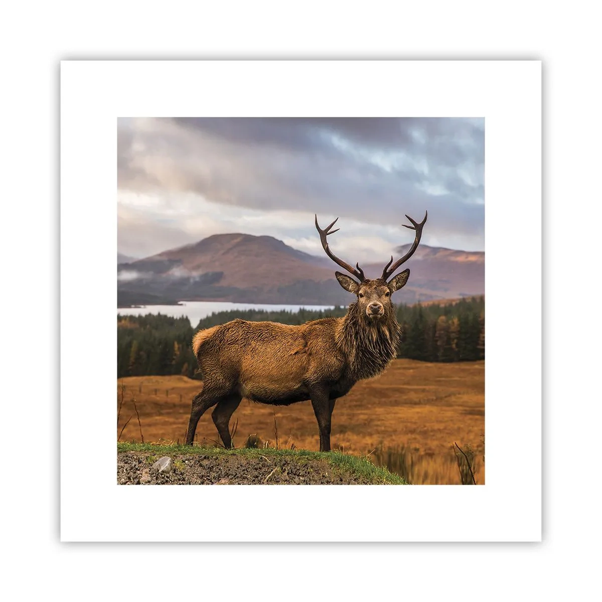 Poster - Die Majestät der Natur - 30x30 cm