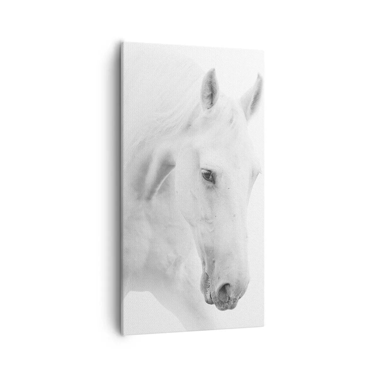 Bild auf Leinwand - Leinwandbild - Ist das Freundschaft...? - 55x100 cm