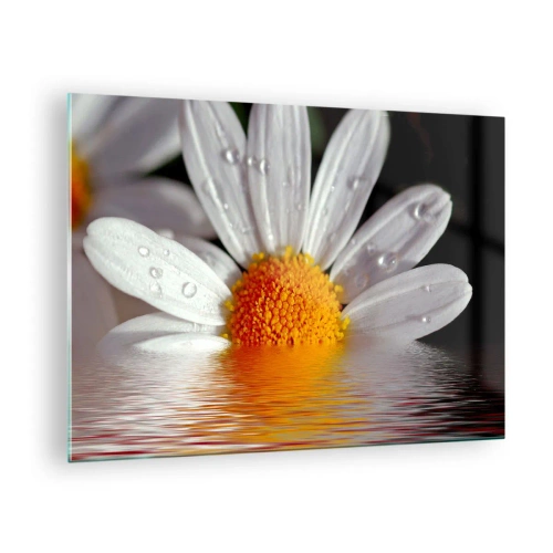Glasbild - Bild auf glas - Ein Gänseblümchen mit Wassertropfen, die sich im Wasser spiegeln - 70x50cm - Die aufgehende Sonne der Gänseblümchen - Moderne Wanddekoration für Wohnzimmer und Schlafzimmer ARTTOR
