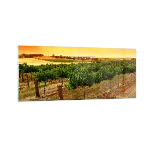 Glasbild - Bild auf glas - Holen Sie sich einen Drink von der Sonne - 100x40 cm