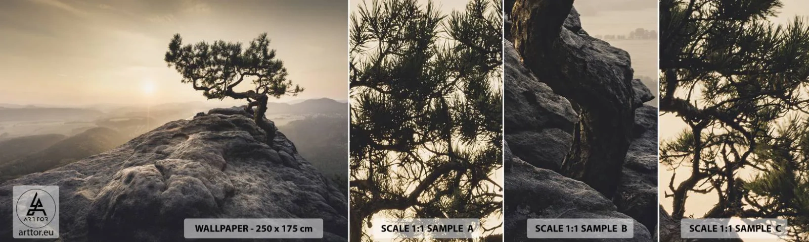 Fototapeten Muster Selbstklebend Deluxe Sticker - Das Leben gewinnt immer - Berglandschaft, Kiefer, Berge - 100x30 cm