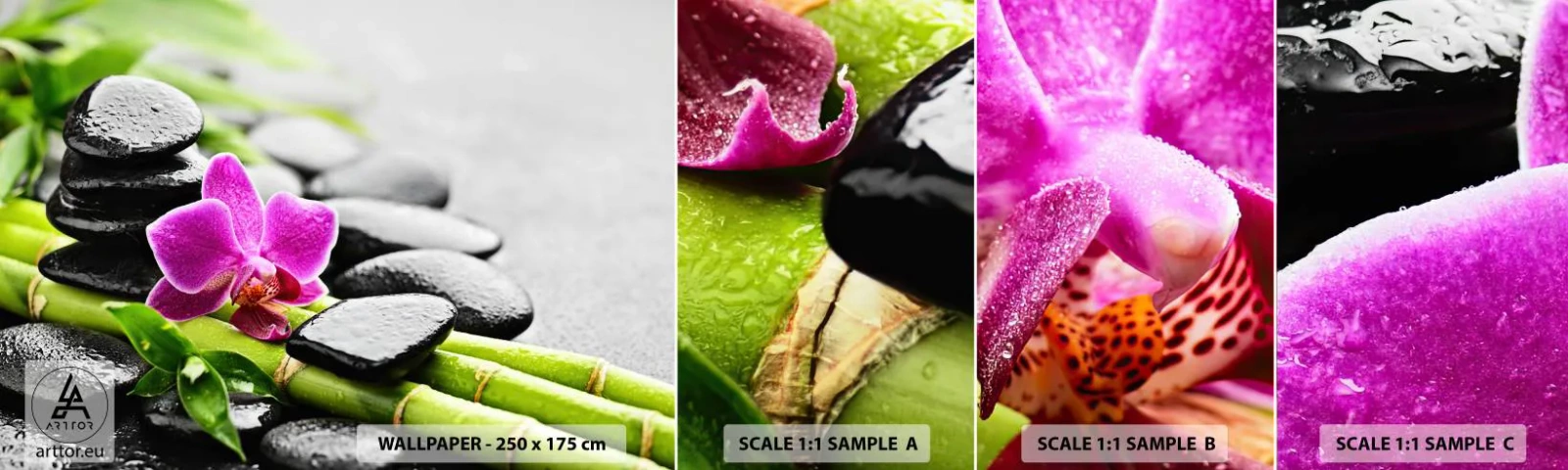 Fototapetenmuster Standard Eco - In ruhiger Balance - Blumen, Orchidee, Orchidee - 100x30 cm