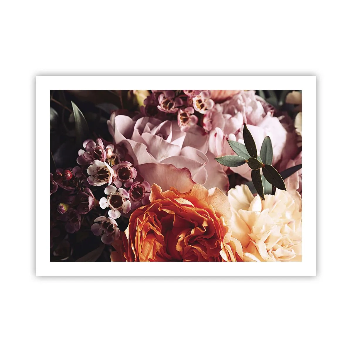 Poster - Eingehüllt in Schönheit - 70x50 cm