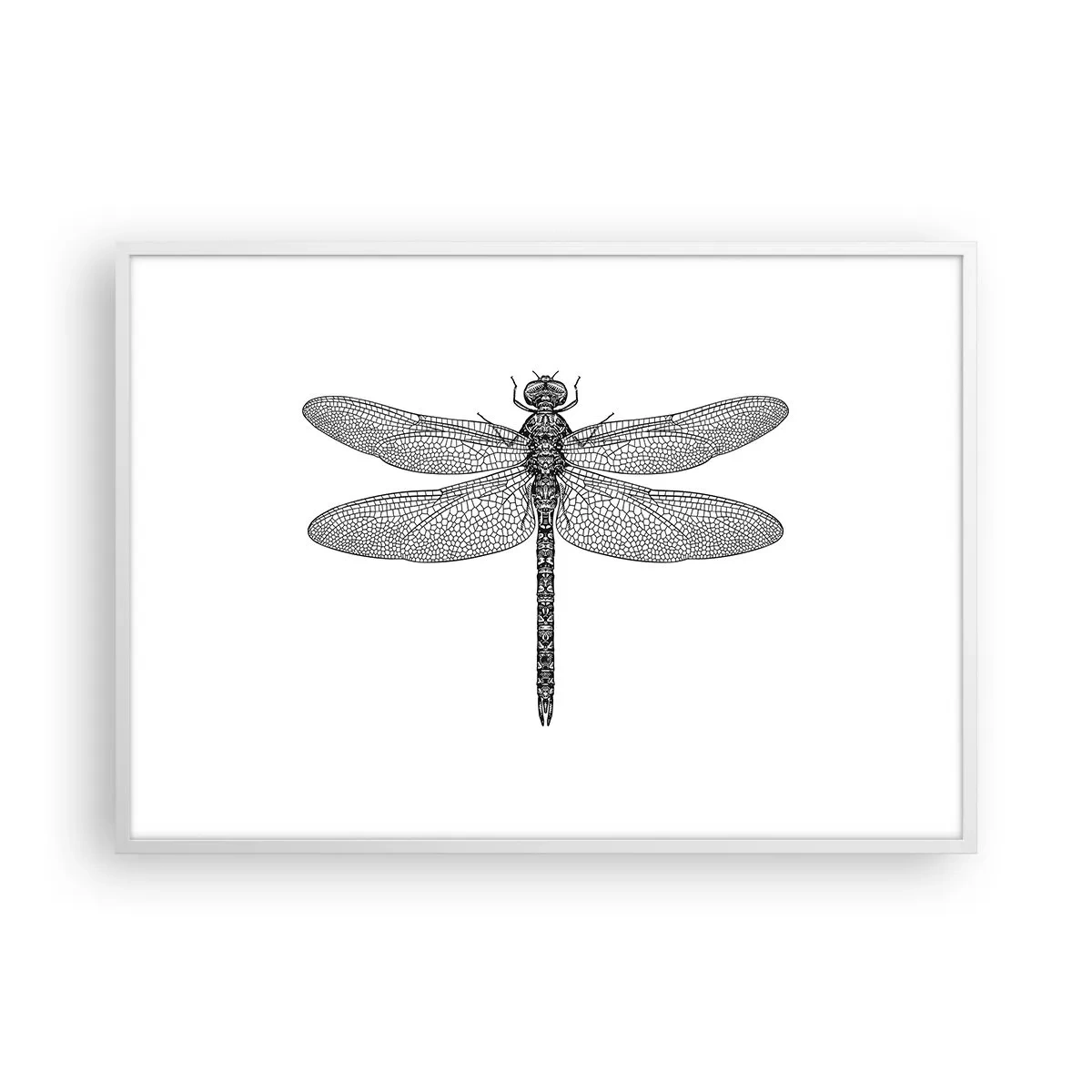 Poster in einem weißen Rahmen - Präzision der Natur - 100x70 cm