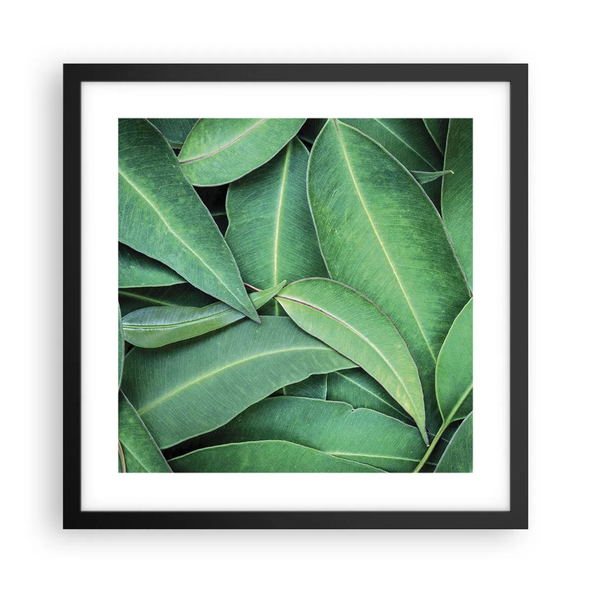 Poster in einem schwarzem Rahmen - Saftig und frisch - 40x40 cm