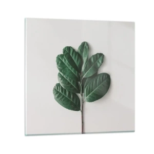 Glasbild - Bild auf glas - Eine Zeichnung purer Natur - 50x50 cm