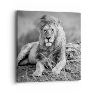 Bild auf Leinwand - Leinwandbild - Königliche Siesta - 40x40 cm