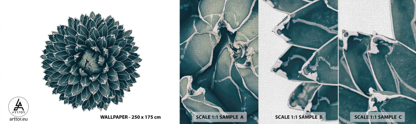 Fototapeten Muster Premium Canvas - Stern der Wüste - Kaktus, Agave, Grafik - 100x30 cm