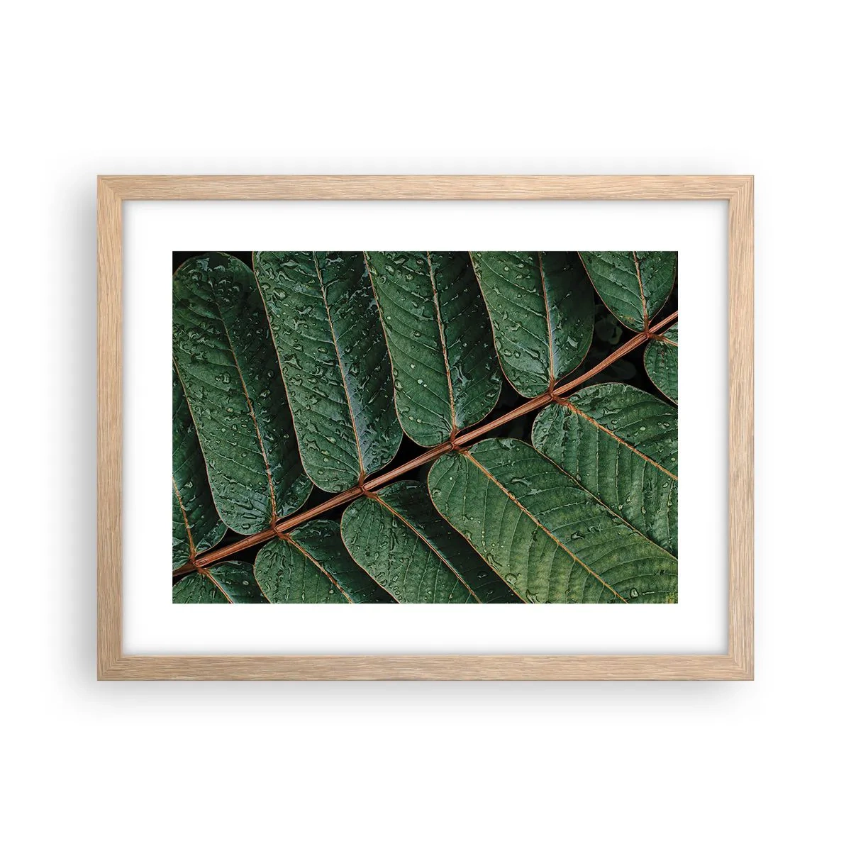 Poster in einem Rahmen aus heller Eiche - Im grünen Rhythmus - 40x30 cm