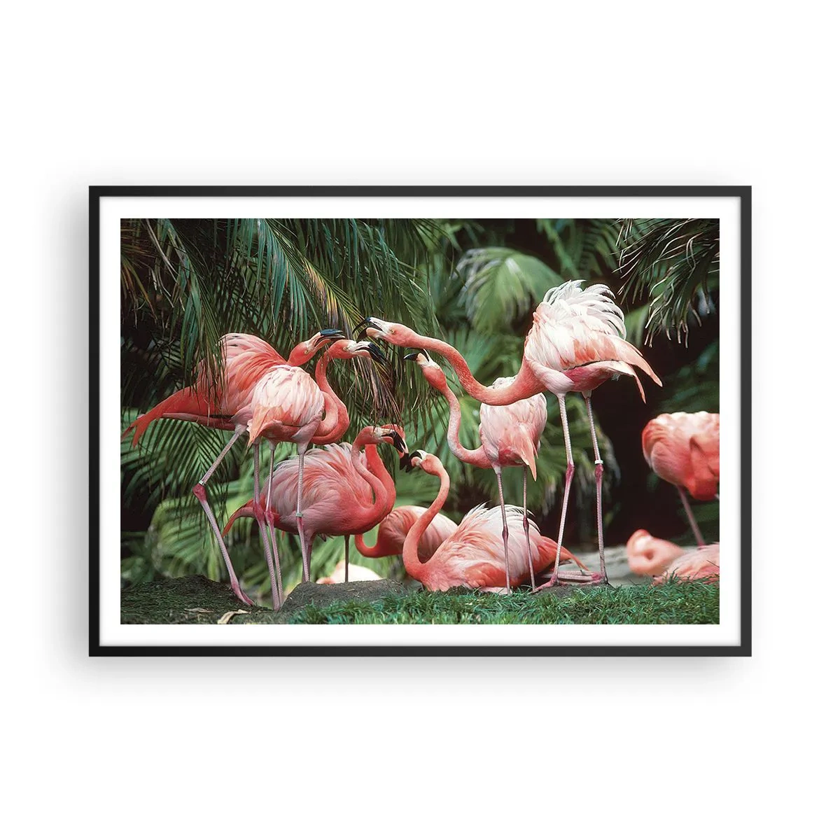 Poster in einem schwarzem Rahmen - Eine Gruppe von Flamingos in einer tropischen Umgebung, umgeben von Palmen - 100x70cm - Nachmittagsklatsch - Moderne Wanddekoration für Wohnzimmer und Schlafzimmer ARTTOR