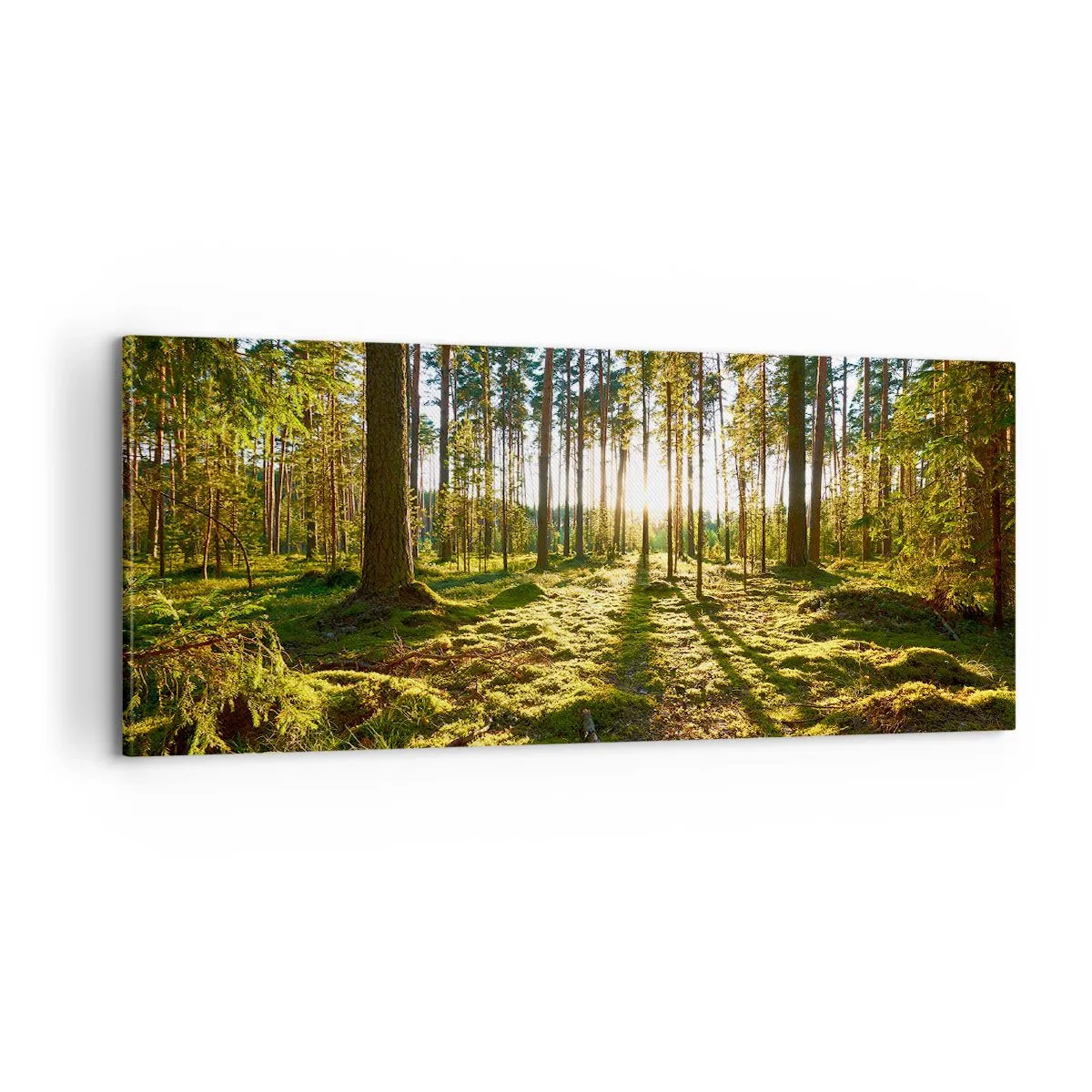 Bild auf Leinwand - Leinwandbild - … Hinter den sieben Wäldern - 100x40 cm