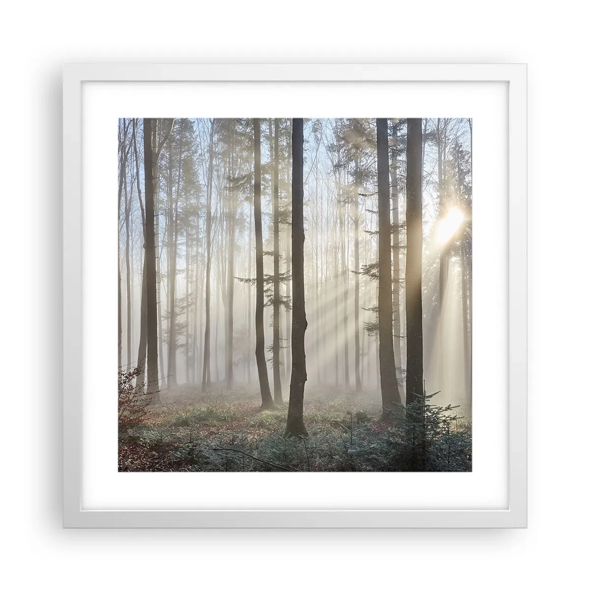Poster in einem weißen Rahmen - Der Nebel ist auch aufgewacht - 40x40 cm
