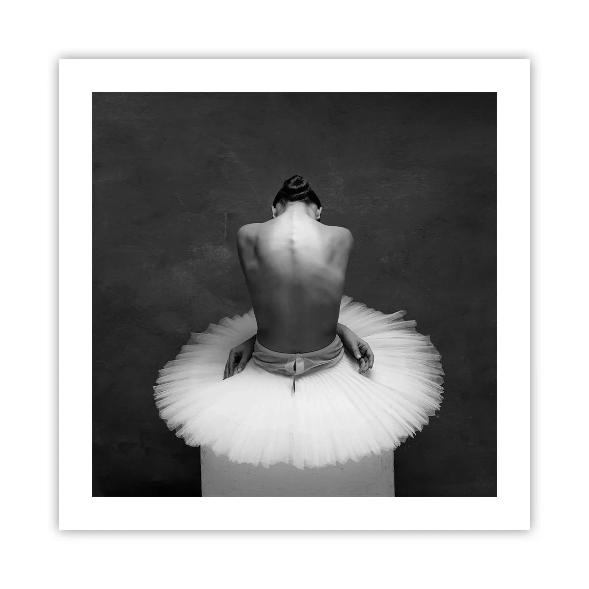 Poster - Es blüht gerade - 50x50 cm