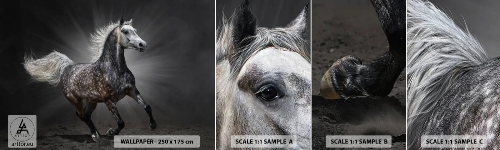 Fototapeten Muster Selbstklebend Deluxe Sticker - Grau ist schön - Tiere, arabisches Pferd, Natur - 100x30 cm