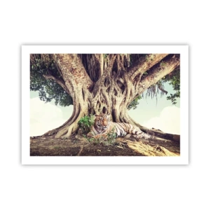 Poster - Blick aus dem Buch Genesis - 70x50 cm