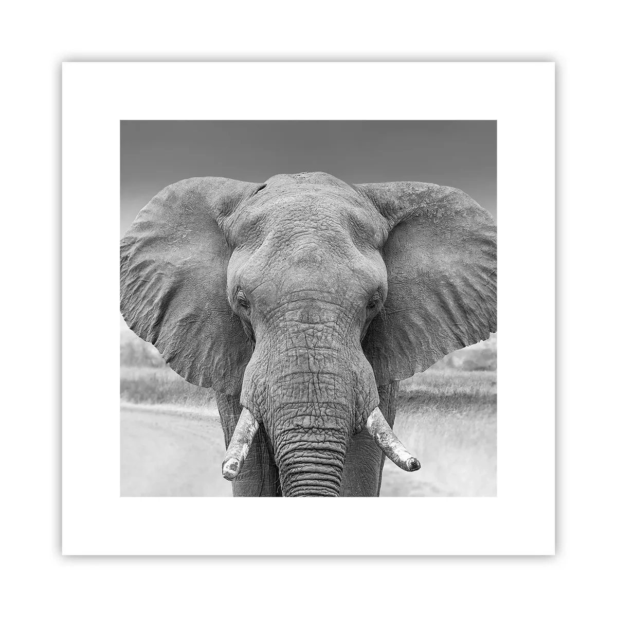 Poster - Willkommen in meiner Welt - 30x30 cm