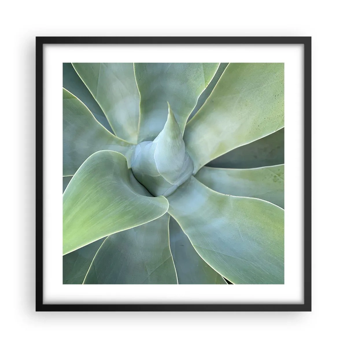 Poster in einem schwarzem Rahmen - Geburt des Grüns - 50x50 cm