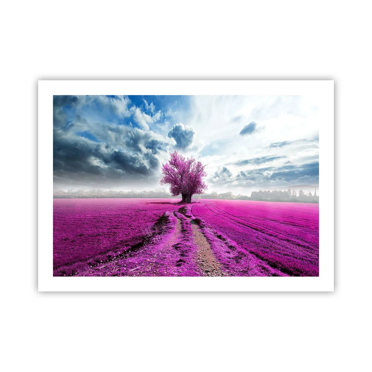 Poster - Heide - Wildnis - 70x50 cm