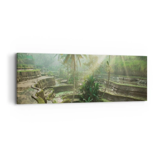 Bild auf Leinwand - Leinwandbild - In der Sonne aufwachsen - 90x30 cm