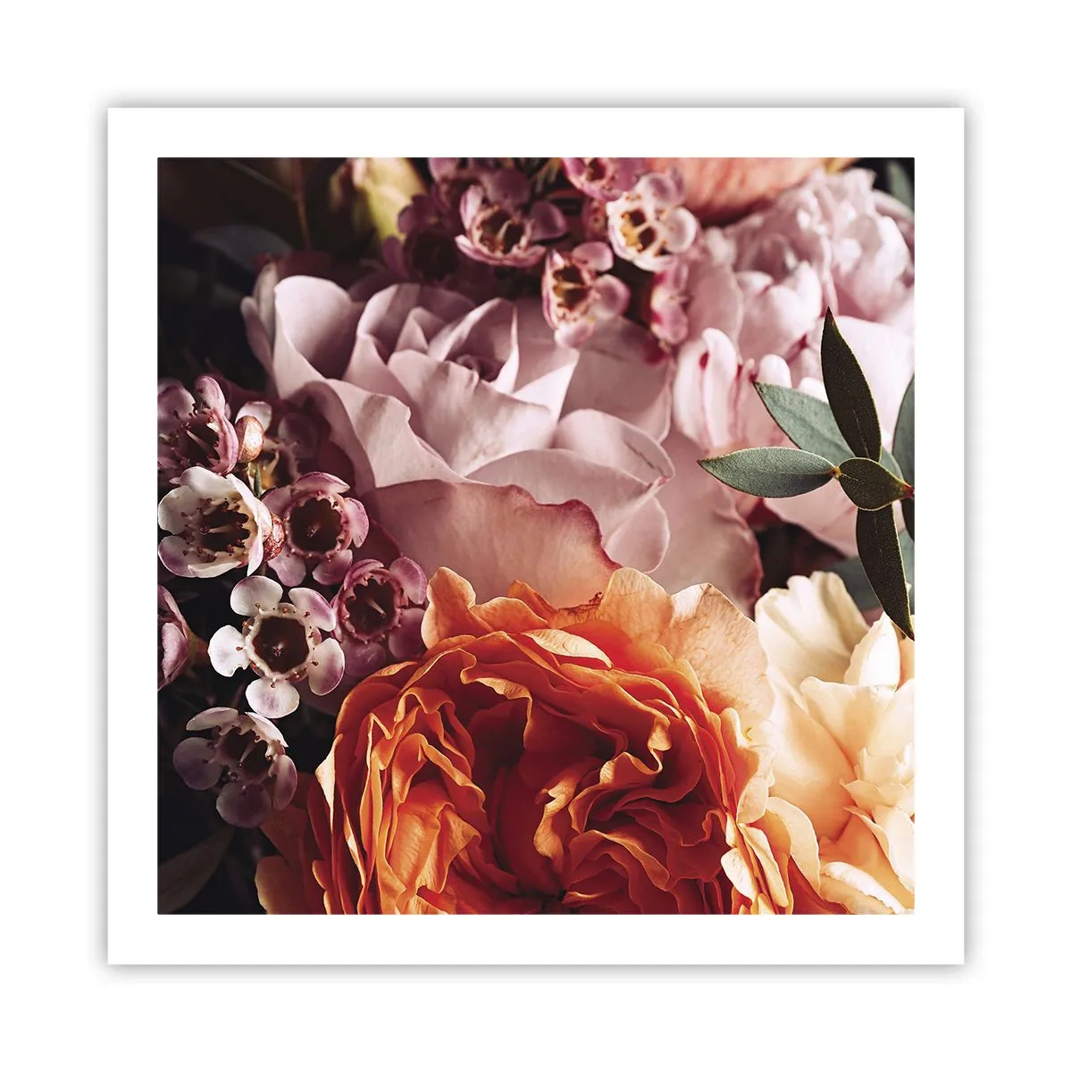 Poster - Eingehüllt in Schönheit - 60x60 cm