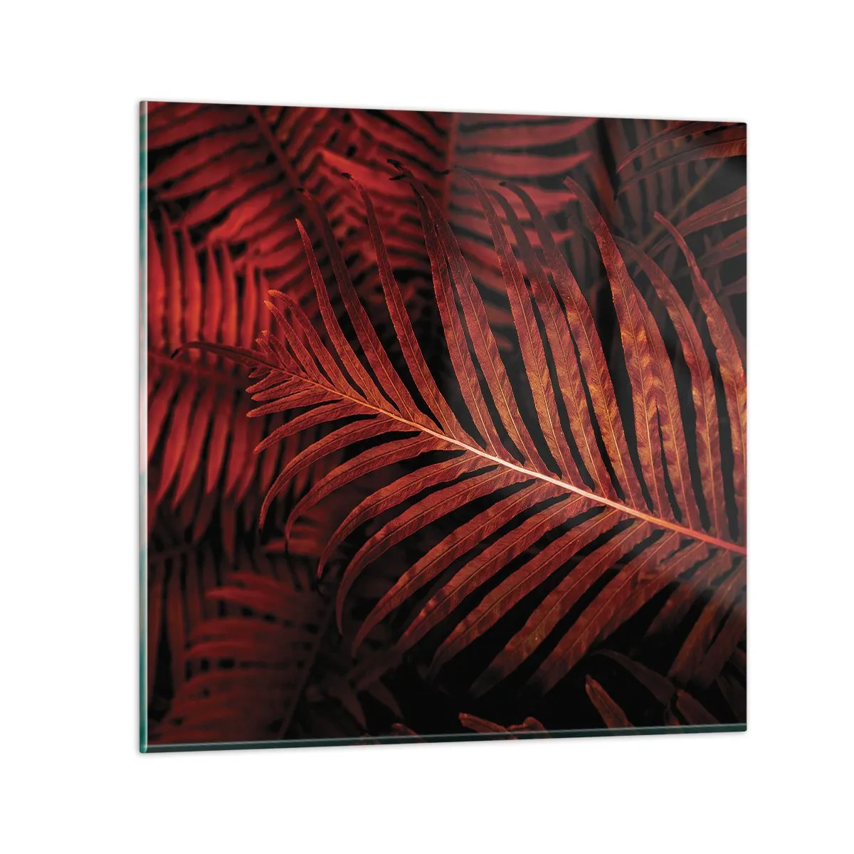 Glasbild - Bild auf glas - Die Hitze des Lebens - 50x50 cm