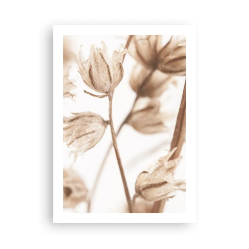 Poster - Getrocknete Pflanzen in Sepia auf hellem Hintergrund - 50x70cm - Sie rufen am Ende des Sommers an - Moderne Wanddekoration für Wohnzimmer und Schlafzimmer ARTTOR