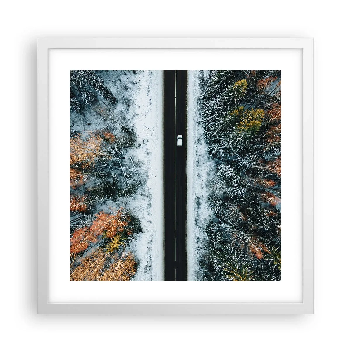 Poster in einem weißen Rahmen - Schnitt durch den Winterwald - 40x40 cm