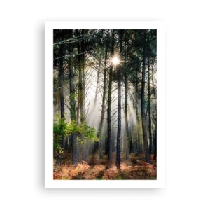 Poster - Zauberhafte Sonnenstrahlen in der Waldlandschaft - 50x70cm - Waldgebiet - Moderne Wanddekoration für Wohnzimmer und Schlafzimmer ARTTOR