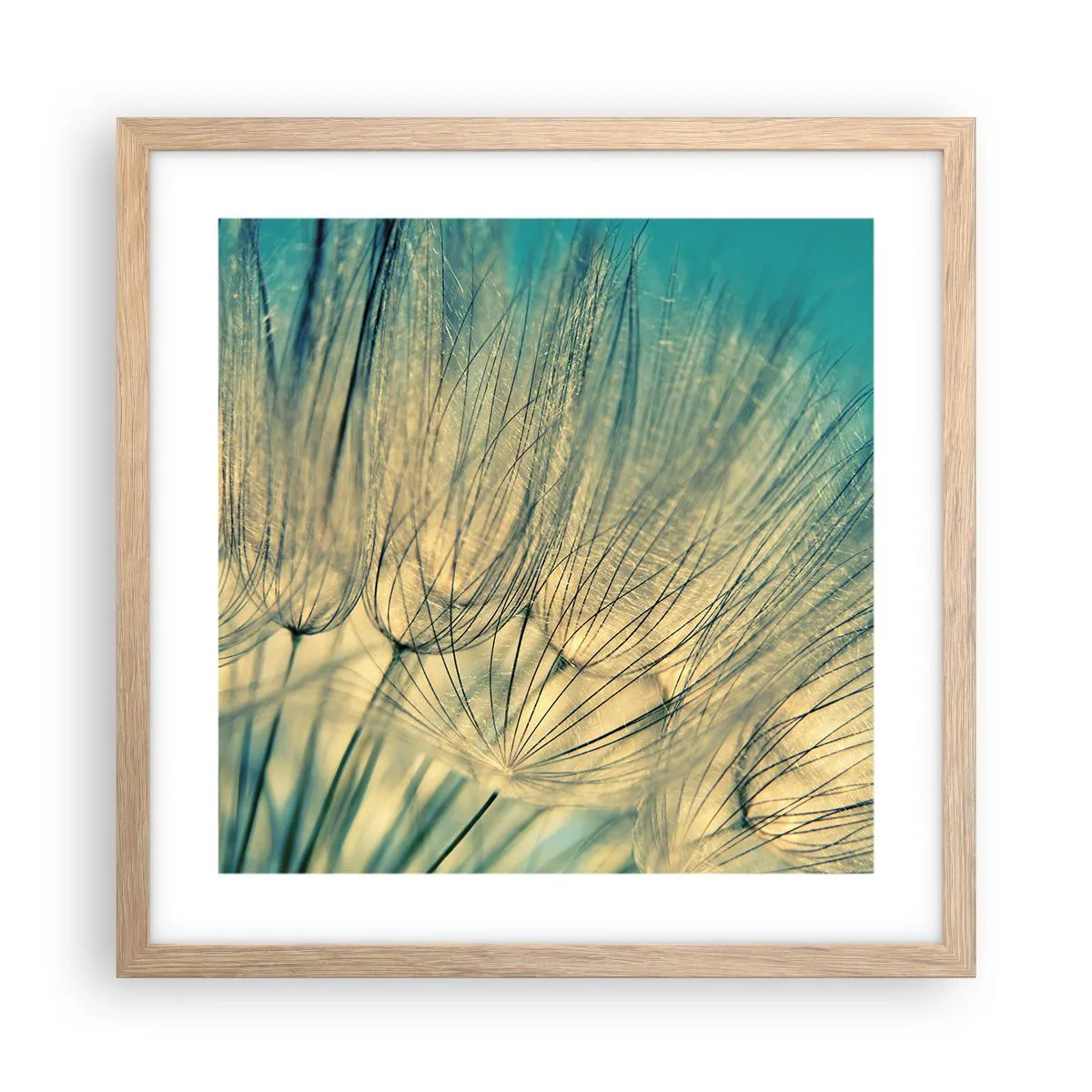 Poster in einem Rahmen aus heller Eiche - In Erwartung des Windes - 40x40 cm