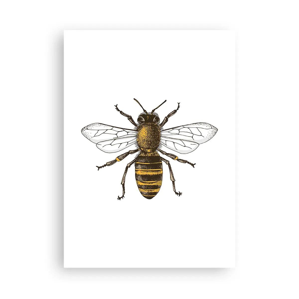 Poster - Vintage Bienendetailillustration - 50x70cm - Schön und gut - Moderne Wanddekoration für Wohnzimmer und Schlafzimmer ARTTOR
