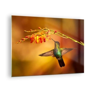 Glasbild - Bild auf glas - Kolibri neben Blumen in goldenem Glanz - 70x50cm - Ein Lichtbote nach den Maya - Moderne Wanddekoration für Wohnzimmer und Schlafzimmer ARTTOR