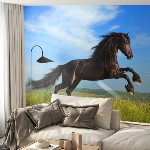 Selbstklebende Fototapete Deluxe Sticker - Ein spannendes Manifest der Freiheit - Tiere, Pferd, Landschaft - 350x256 cm