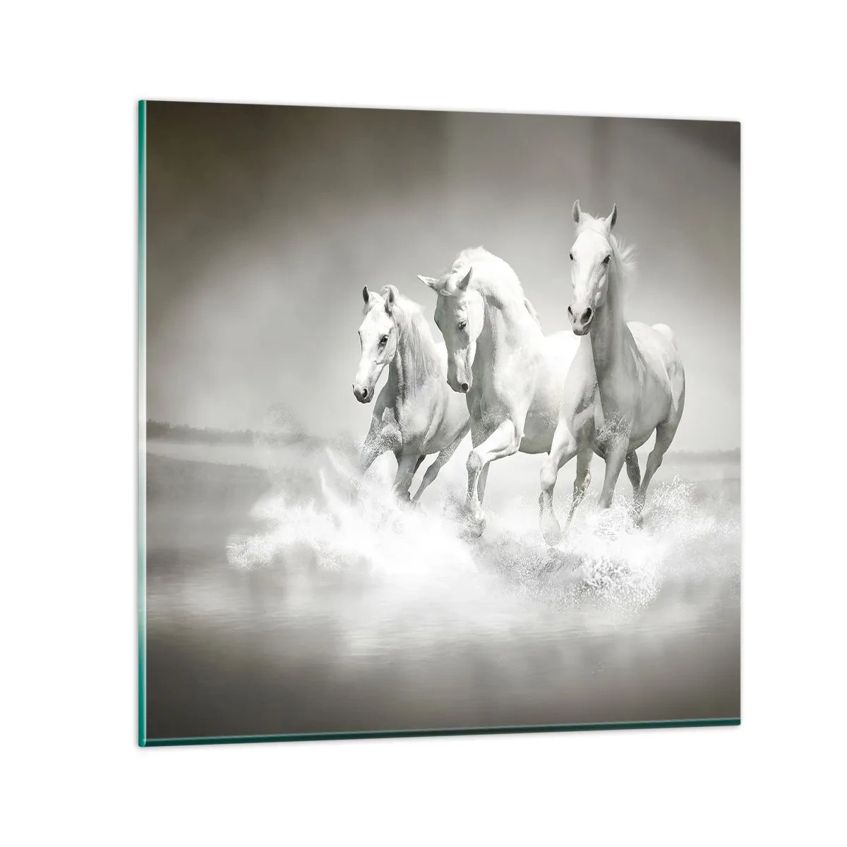 Glasbild - Bild auf glas - Weißer Wahnsinn - 60x60 cm