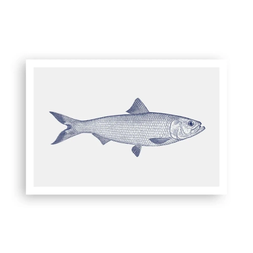 Poster - Grüße aus den nördlichen Meeren - 91x61 cm