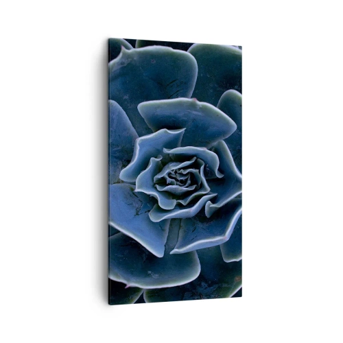 Bild auf Leinwand - Leinwandbild - Wüstenblume - 45x80 cm