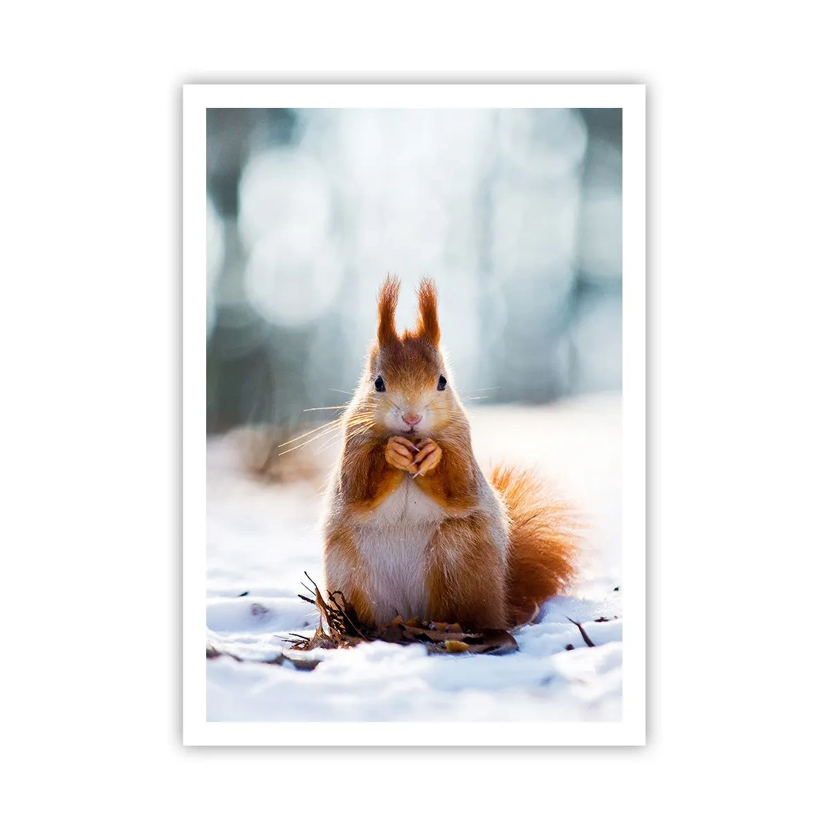 Poster - Wo schaust du hin? - 70x100 cm