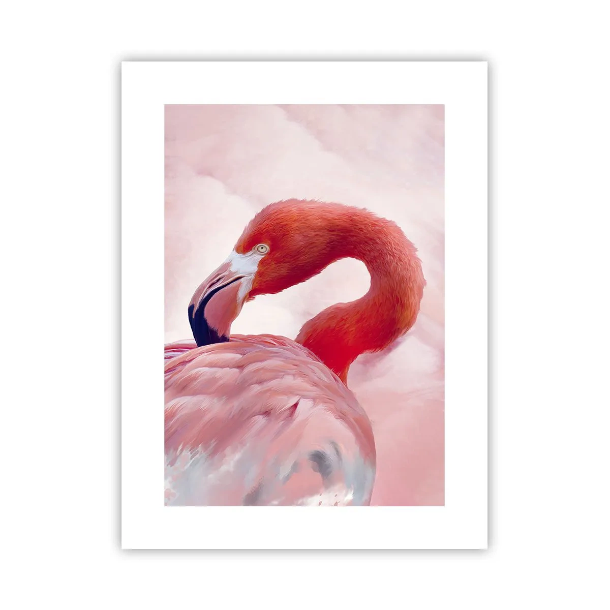Poster - Vogel Schönheit - 30x40 cm